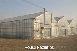 ハウス施設の写真