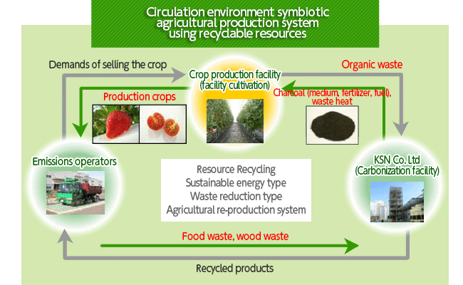 circulation environment symbiotic agricultural production systems